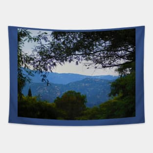 A distant view Tapestry