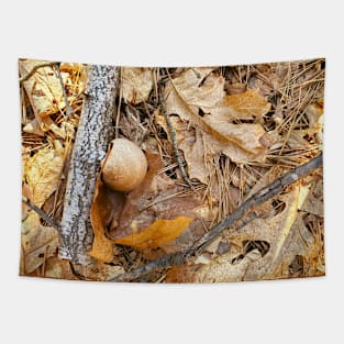 mushroom ball Tapestry