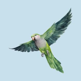 A watercolor of a flying quaker parrot T-Shirt