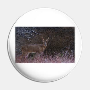 Snowy Buck - White-tailed deer Pin