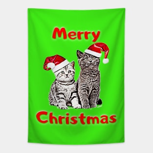 Cats Lovers christmas gift, christmas decorations Tapestry