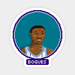 Bogues Magnet