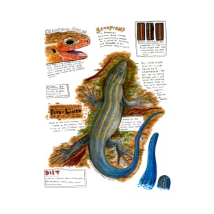 American Five-Lined Skink Field Drawing T-Shirt