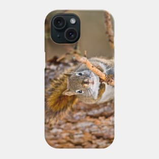 Red Squirrel Phone Case