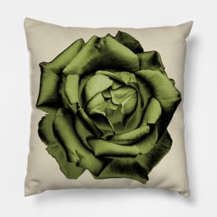 Yellow Charcoal Rose Pillow