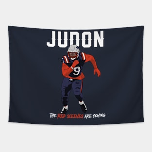 Judon Tapestry