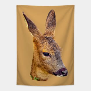 Roe deer head Tapestry