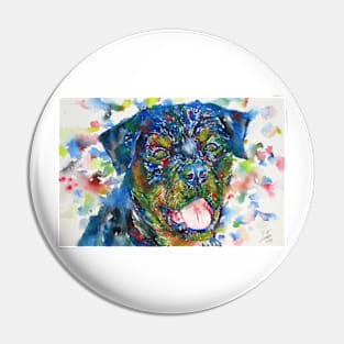 ROTTWEILER watercolor portrait .1 Pin