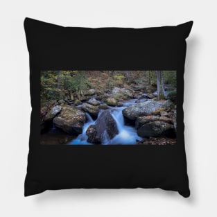 River in the Fall Pillow