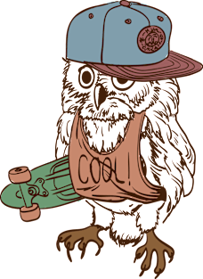 Skateboarding Owl Magnet