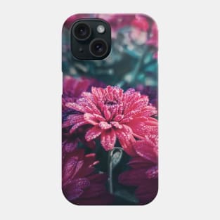 Crimson Chrysanthemums in the morning Phone Case