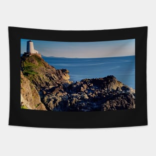 THE ROCKY COASTAL SHORE OF LLANDDWYN Tapestry