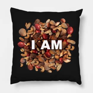 I am Nuts Pillow