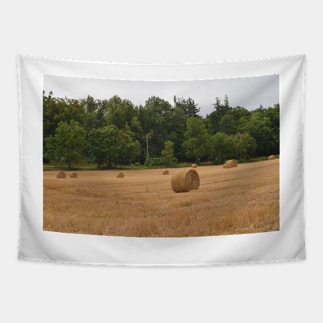 Made Hay while the Sun Shone Tapestry by srosu