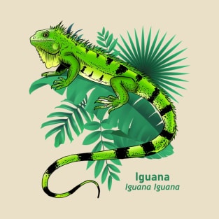 Iguana T-Shirt