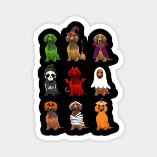 Dachshunds Halloween Funny Dachshunds Costume Magnet