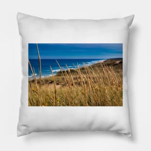 Dune Grass Pillow