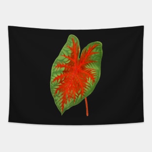 Caladium Postman Joyner - botanical illustration Tapestry