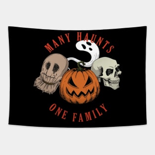 Many Haunts One Family Tapestry