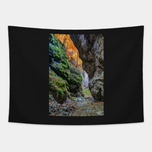 River in limestone canyon Tapestry