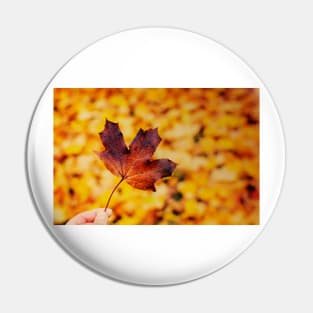 Hand holding brown maple leaf Pin