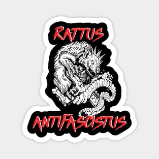 Rattus Antifascistus Magnet