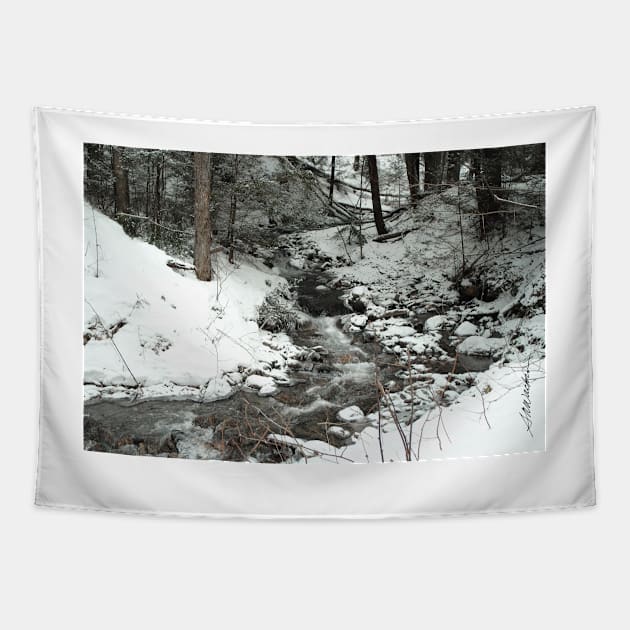 Winter Stream Tapestry by srwdesign