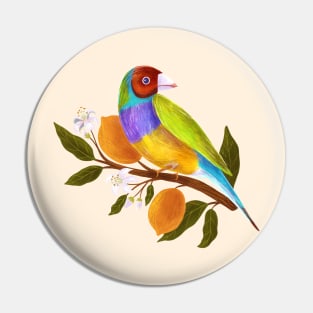 Gouldian Finch Pin