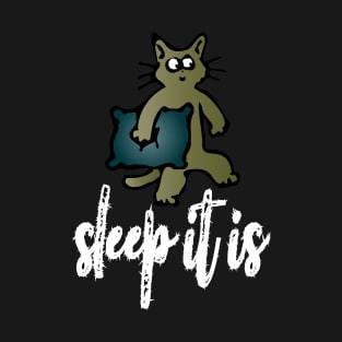 sleep it is T-Shirt