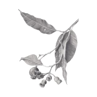 Eucalyptus tree branch with gum nuts - graphite drawing T-Shirt