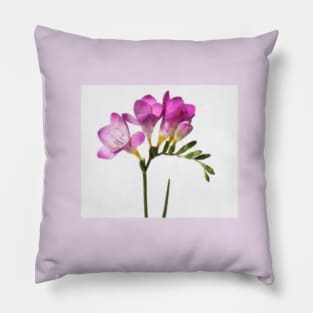 Freesias for my mother Pillow