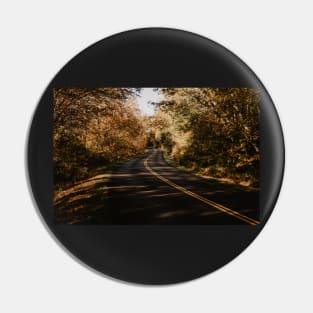 Parkway Roads Pin