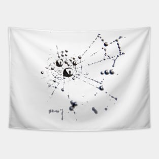 Web Tapestry