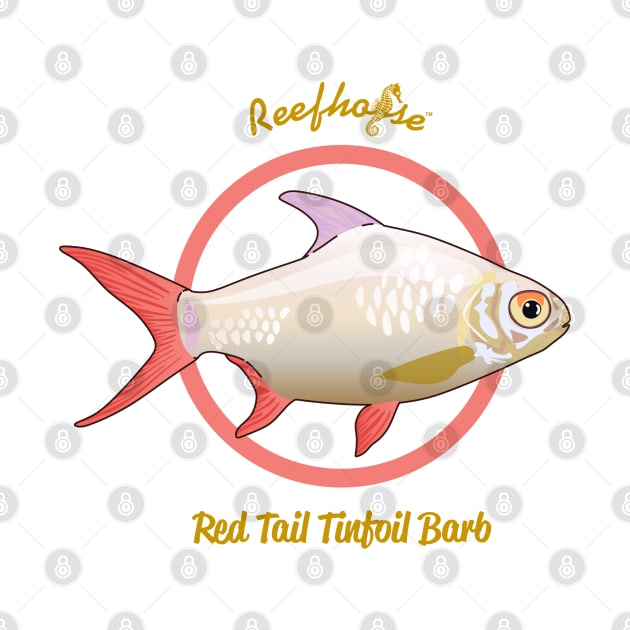 Red Tail Tinfoil Barb by Reefhorse