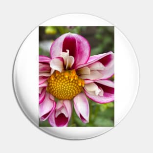 Pink Perfect Dahlia Pin