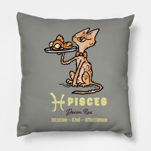 Simon's Cat 9 Pillow