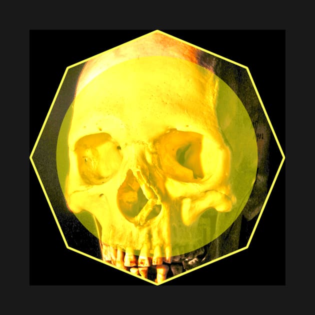 Yellow Skull by Bethany-Bailey