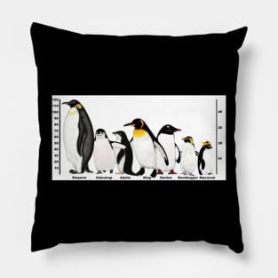 Antarctic Penguins Height Pillow