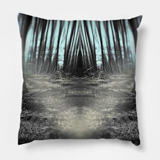 Mother Earth Pillow