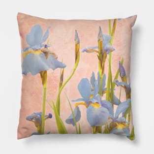 Blue Iris Card Pillow