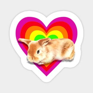 Gorgeous baby satin mini lop in a heart design! Magnet