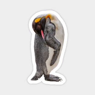 Sleepy King Penguin Magnet