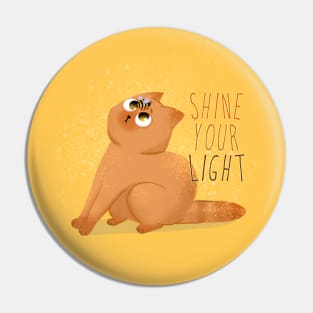 Shine your light Red cute cat with bee Pin