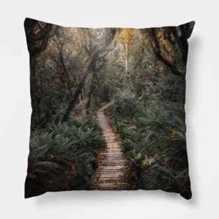 New Zealand Pathway Pillow