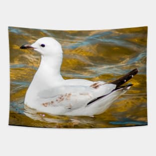 Silver Gull Tapestry