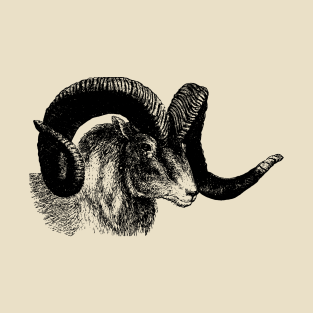 Ram T Shirts Teepublic