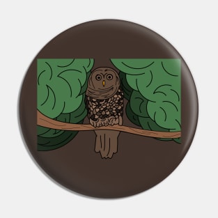 Owl on a tree branch Pin