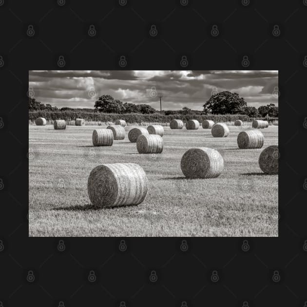 Hay Barrels in a Field by Russell102