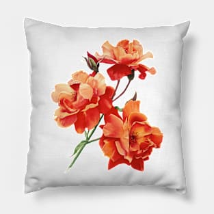 Orange roses in watercolor Pillow