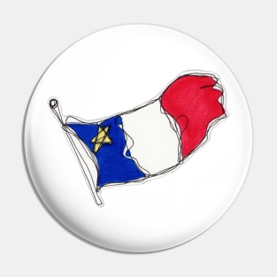 Drapeau acadien Pin